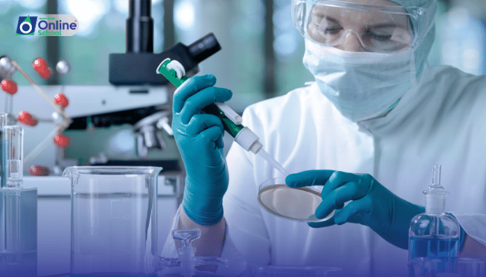 Lesson 10: Laboratory-Manufactured Sweeteners